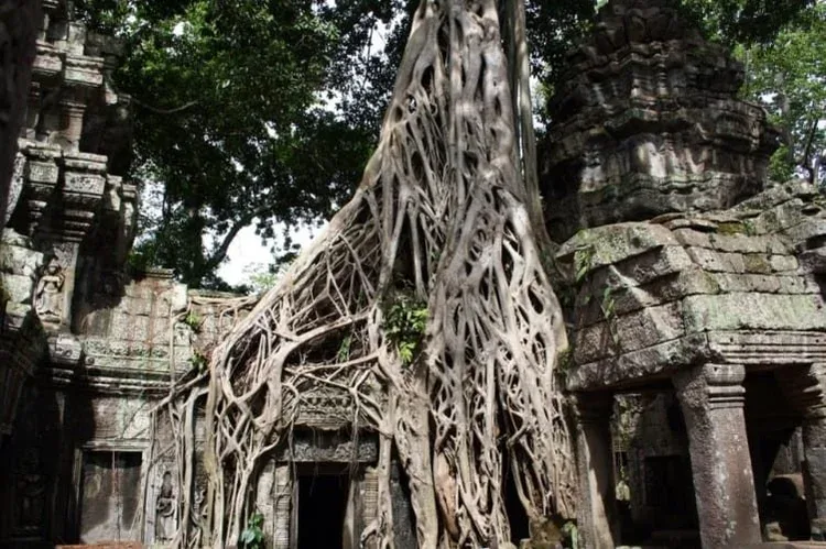 Siem Reap, Cambodia — retreat surroundings